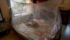 Éxito en proyecto que envía cajas para combatir malaria