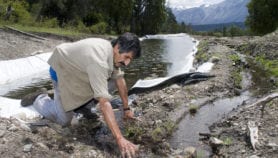 Argentina: pequeños productores garantizan biodiversidad