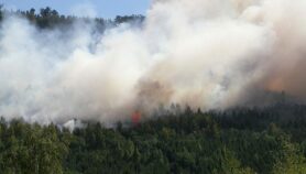 Incendios agrícolas y forestales causan daño pulmonar