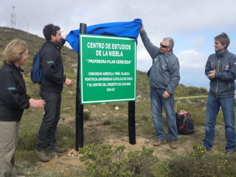 The Peña Blanca Fog Study Centre is named after professor Pilar Cereceda, one of the pioneers of the technology. “She has been our guide. Her support and her knowledge have been really important for us,” says Daniel Rojas, president of the community.
