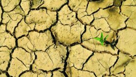 Sequías serán más intensas y frecuentes en el Caribe