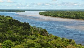 Amazonas: emisión en carbono casi duplica la absorción