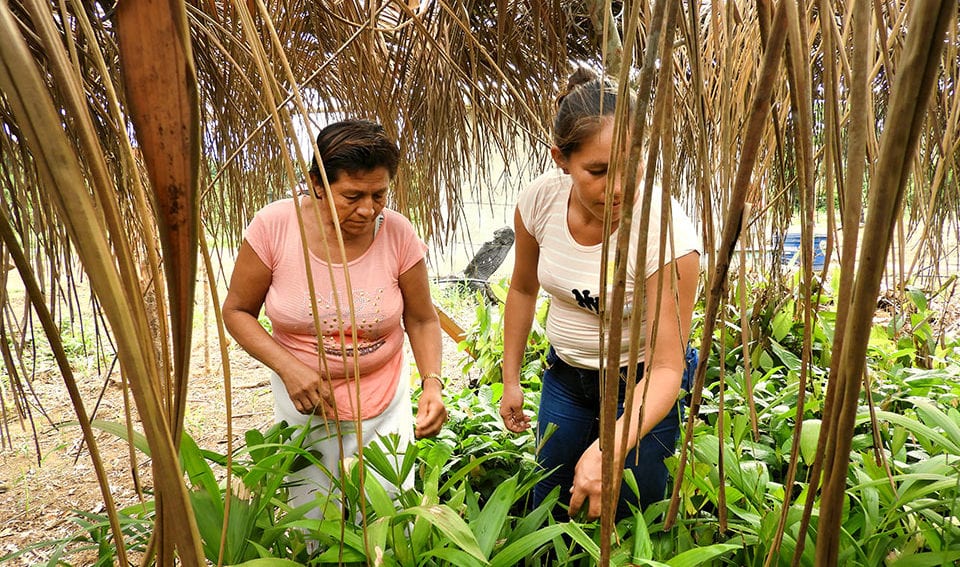 bolivia_amazon by UN Women-TeÃ³fila Guarachi.jpg