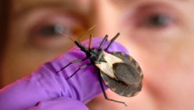 Nuevo enfoque para diagnosticar y tratar enfermedad de Chagas