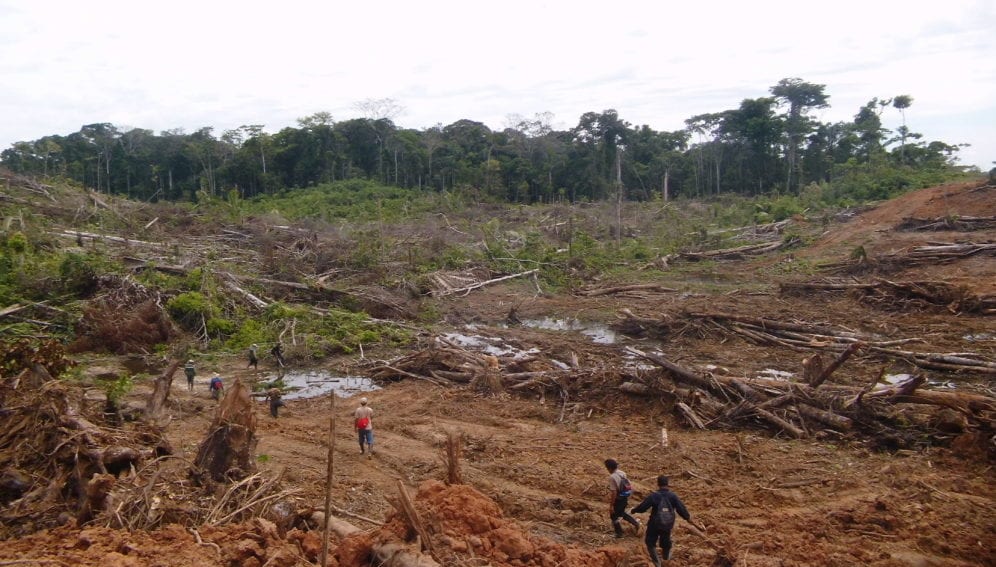 Deforestacion Tamshiyacu Loreto by SERFOR