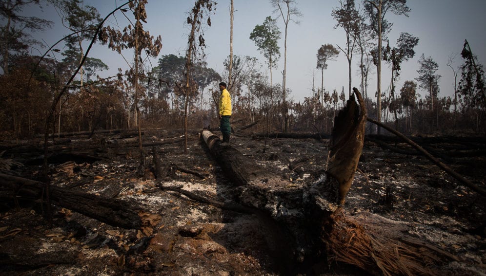 degradaciÃ³n Amazonas1