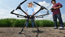 Inteligencia artificial para “ver” raíces de cultivos