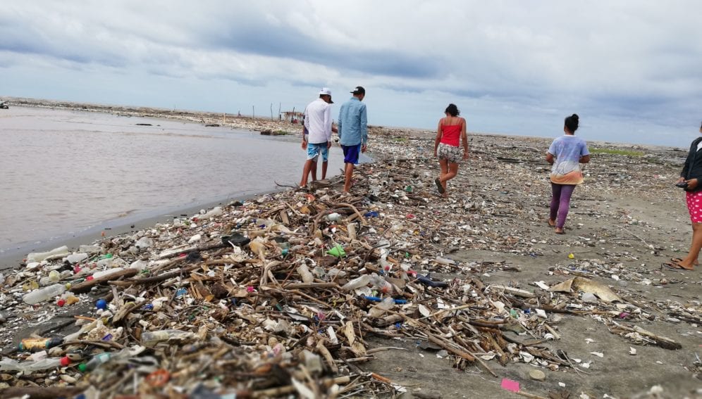 Microplásticos también en playa protegida de Guatemala - América Latina y  el Caribe