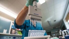 México: piden regular la edición genética para mejorar cultivos