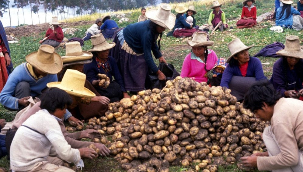 alimentos Peru