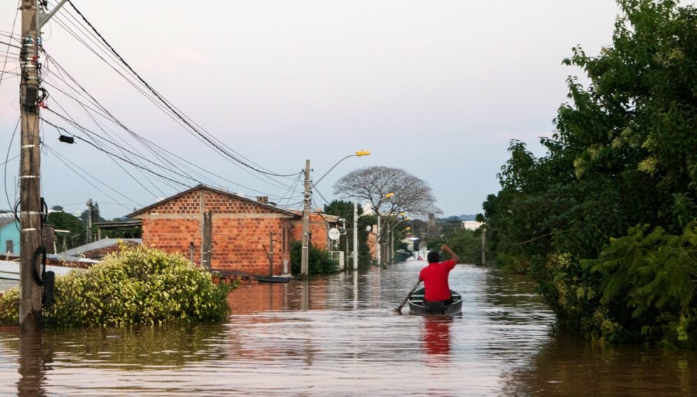arboles inundaciones