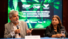 Argentina crea variedades de semillas de cannabis y avanza en tratamientos