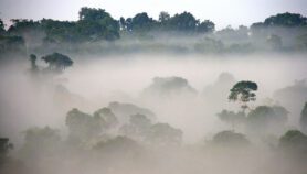 Impacto climático en la Amazonia afecta el sur del continente