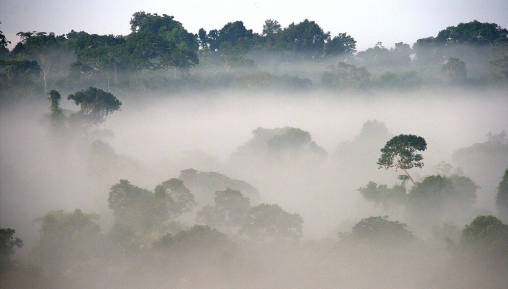 clima Amazonia