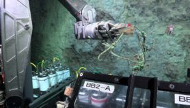 Hallan desechos plásticos en cañón submarino aislado y profundo