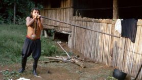 Gobernanza indígena mejora indicadores de conservación en Amazonía