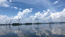 Energías limpias en el Amazonas a costa de la biodiversidad