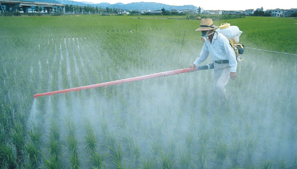 investigacion pesticidas