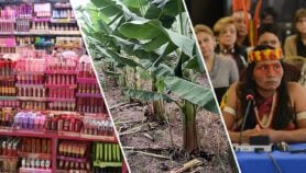 Cuidado del ambiente fue el protagonista en 2025