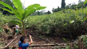 Con tecnología satelital pueblos indígenas amazónicos reducen deforestación