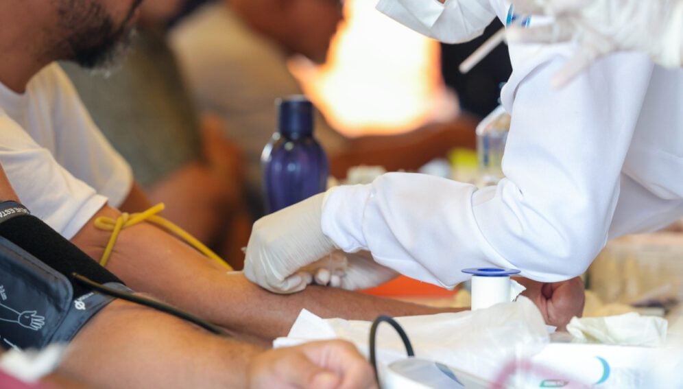 observatório da dengue