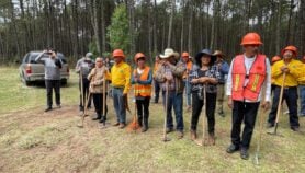 Grupos comunitarios en México crean manual para proteger bosques