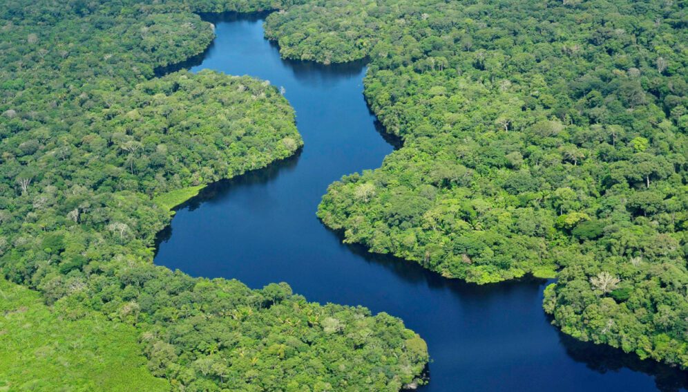 resiliencia Amazonas1