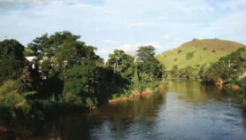 Color de los ríos, pista confiable en lucha contra la malaria