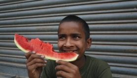 Watermelon rind cheaply filters arsenic in groundwater