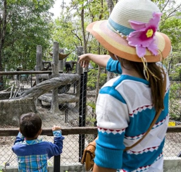 Each year more than 300,000 visitors, from Cambodia and abroad, come to visit the sanctuary. Many of them are schoolchildren, who take part in educational tours and classes. 
