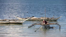 Philippine fish catches may dip from ocean warming