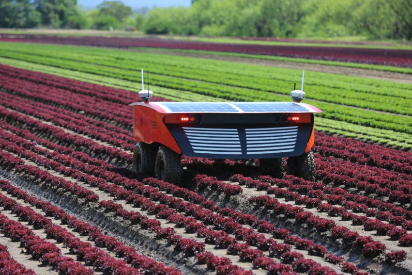 RIPPA, a solar-power driven electric robot was designed for long hours in the field. Best on a vegetable farm, it has a collection of sensors to monitor plant health and growth and can scan for pests. It carries a collection of robotic subsystems for mechanical weeding, precision spraying, soil sampling, and foreign object removal.
