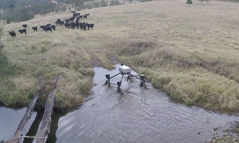 This SwagBot was designed to be put to work on cattle farms and deal with undulating and difficult terrain. Sensors on the robot were dedicated to monitoring the health of individual animals and tracking the movements of the herd, allowing cattle farmers to keep an eye on their animals from afar. 
