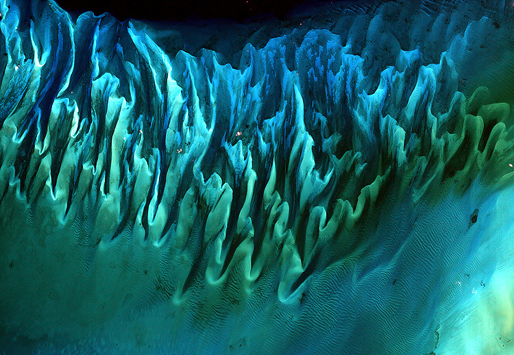 Seaweed beds NASA