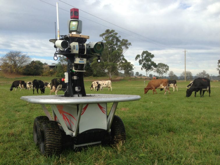 Here the robot called Shrimp was deployed to see how cattle would respond to its presence. As the photo shows, the cows did not mind Shrimp sharing their field, allowing the farmer to monitor them up close. In the future, the robot will also measure pasture quality – a prerequisite for a healthy herd and for cows to produce quality milk
