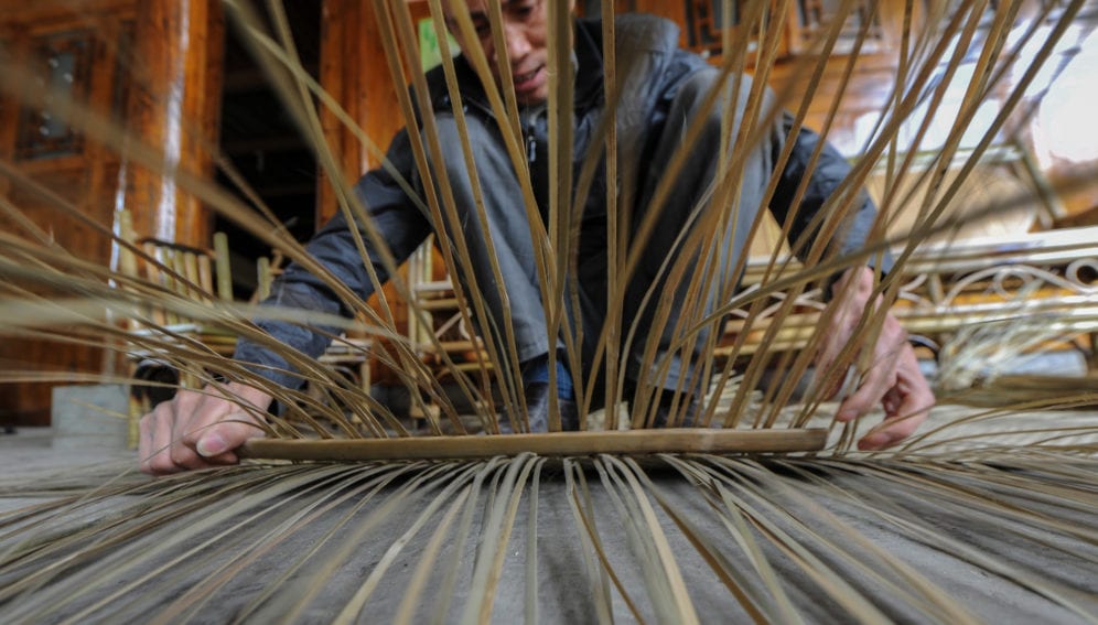 bamboo production