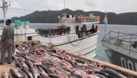 Technology casts protective net over Palau’s seas