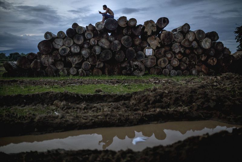 A man sits on a pile of logs