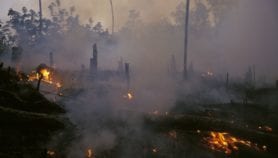 Indonesia study disputes UN data on peat fire emissions
