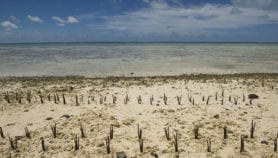 Small island states struggle to do climate science