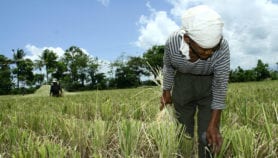 Asian healthcare must plan for greying populations