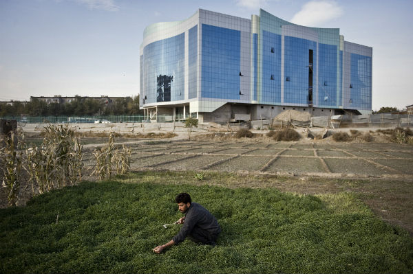 farmer harvets his crops in front of a futuristic office complex