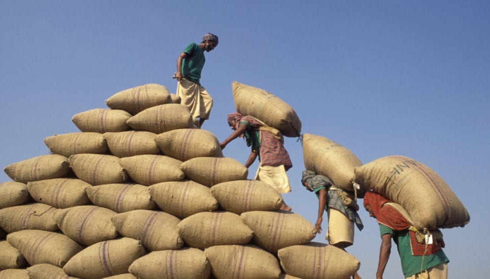 farmers stocking sack of crops