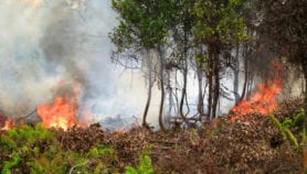 Land disputes stall moves on Indonesian forest fires