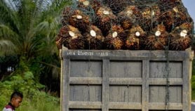 International body freezes expansion of palm oil giant