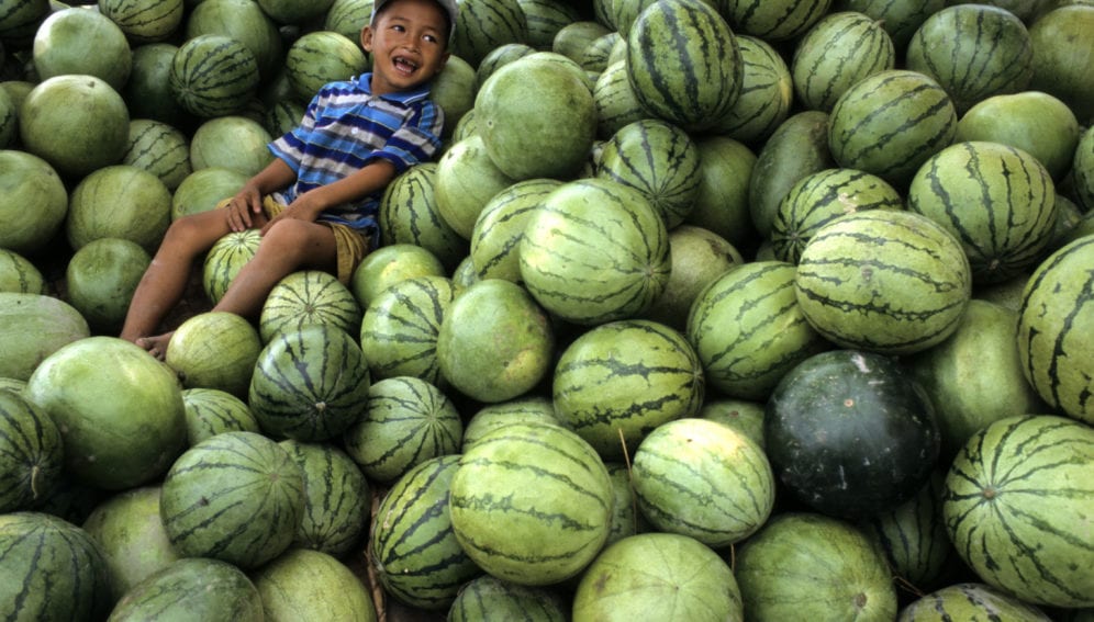 child amongst watermelons