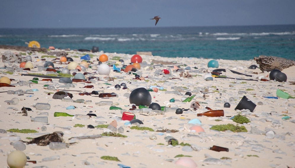 plastic pollution-main
