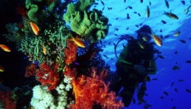 UN licences kick off search for underwater minerals