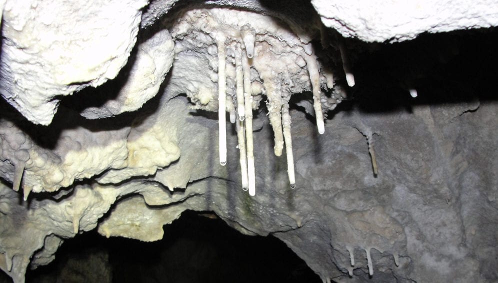 stalactite-main