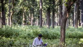 Listen to forest beats to assess environmental health